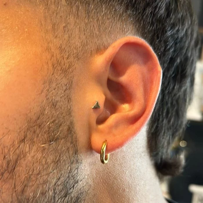 top gioiello piercing titanio a forma di testa di toro