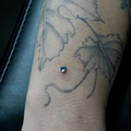 Gioiello Dermal Top Titanio Colore Azzurro, piercing per il corpo colorato
