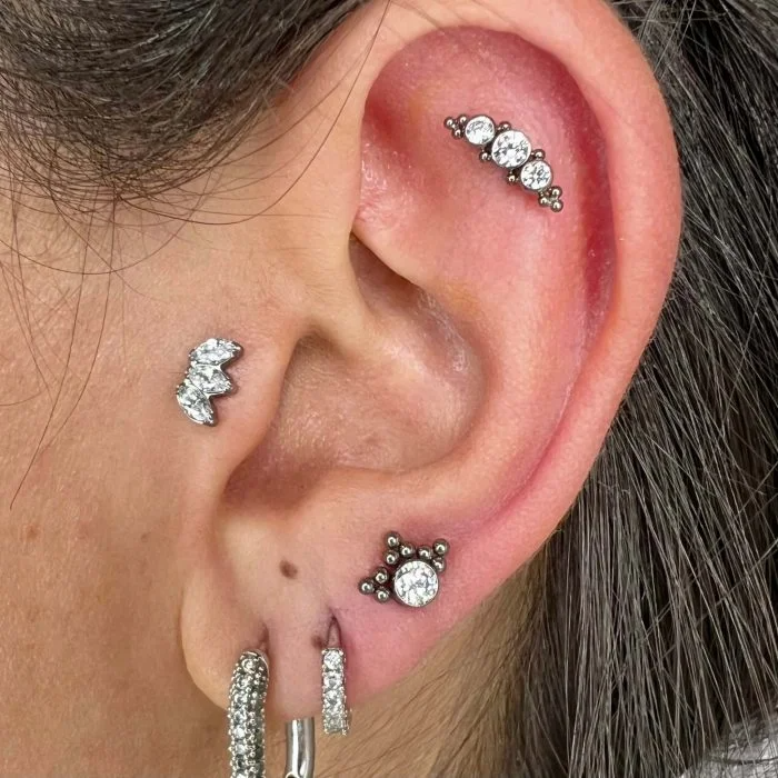 Piercing Cluster Titanio Dot Crown (Corona di Punti), gioiello Indossato su lobo