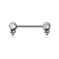 Piercing Nipple Titanio Bilanciere con design 