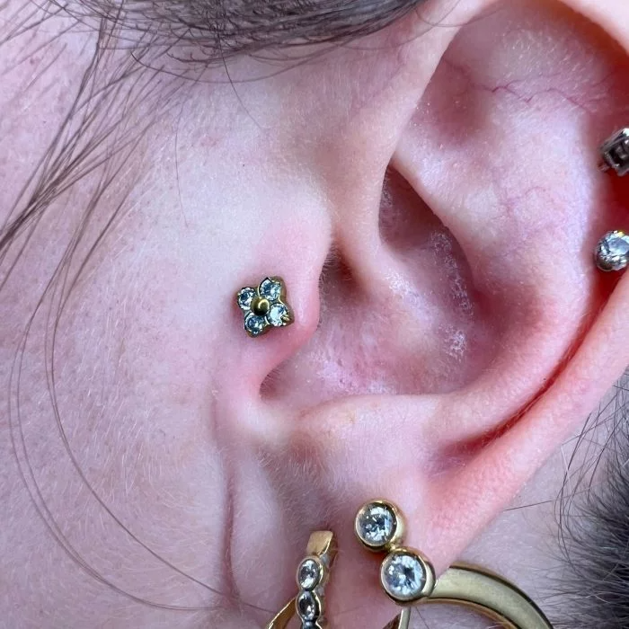 Piercing a forma di Fiore (Lucky Flower) in titanio, petali scintillanti Anodizzato oro