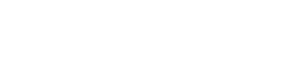 Noa Ink