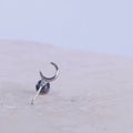 Piercing simbolico Luna Crescente e Stella in titanio di grado implantare ASTM F136. Gioiello con design cosmico.