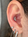 Piercing in titanio grado medicale con dettaglio a corona lucente, stile raffinato