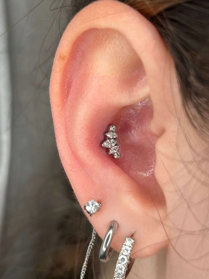 Piercing in titanio grado medicale con dettaglio a corona lucente, stile raffinato