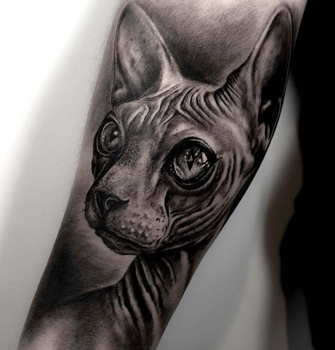 Noa Ink - Stile
